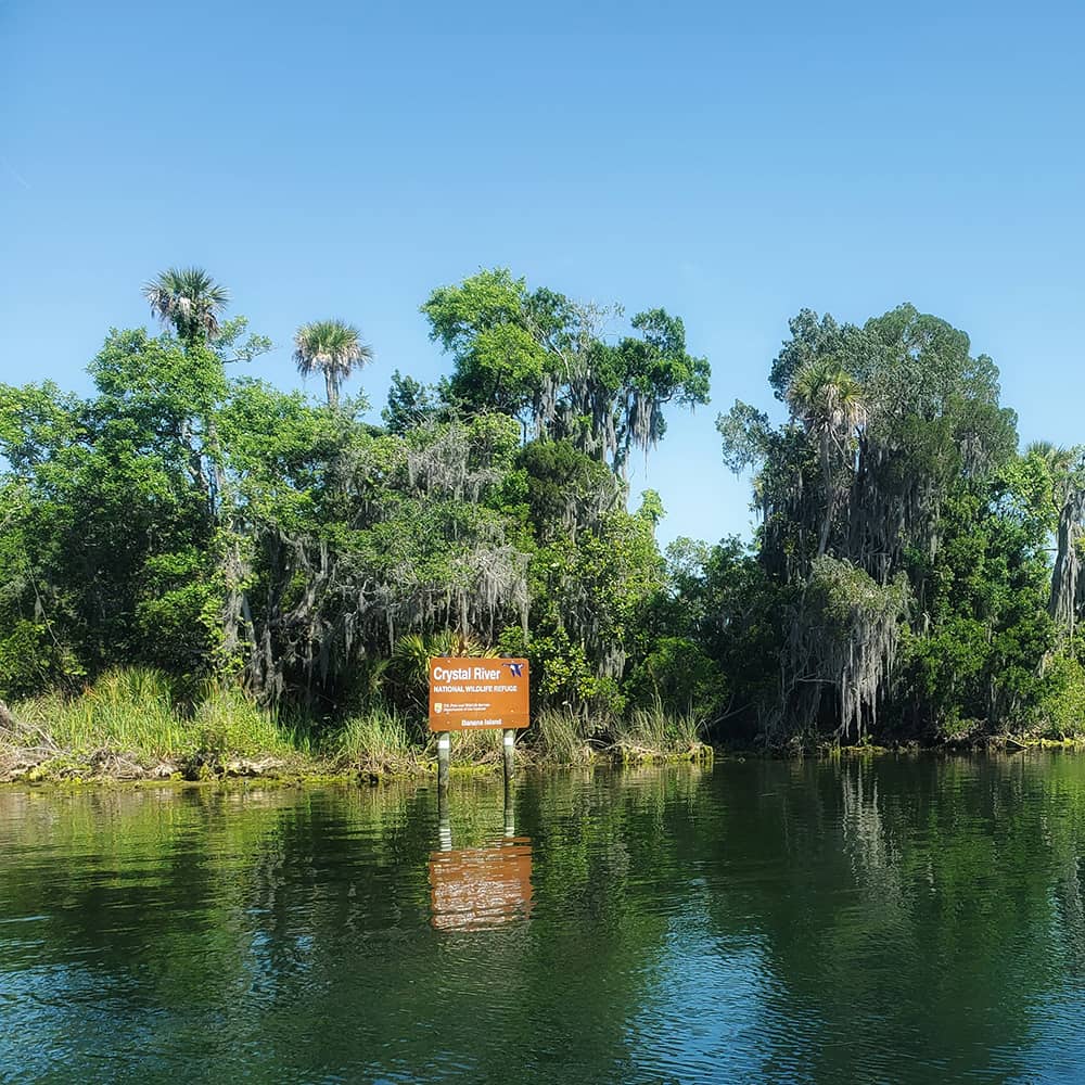 casey-lovegrove-SKOhaTnRqQ0-unsplash River