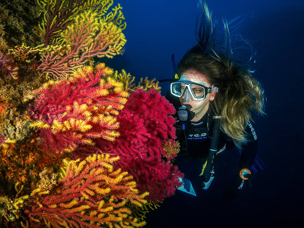 juanma-clemente-alloza-_k82HQ1OBoM-unsplash Scuba diving