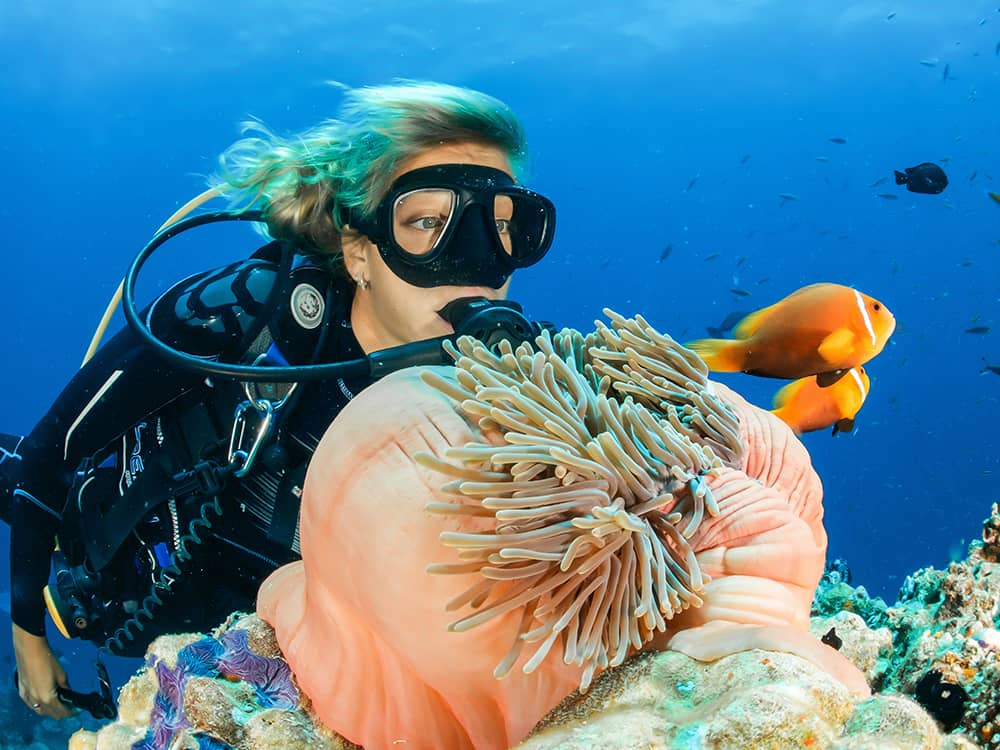 sebastian-pena-lambarri-ld4VubWXTuI-unsplash Scuba diving